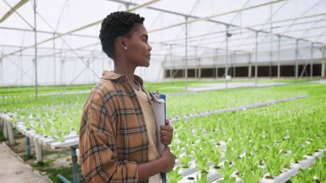 Greenhouse,-black-woman-and-documents