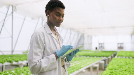 Greenhouse,-tablet-and-research-with-agriculture