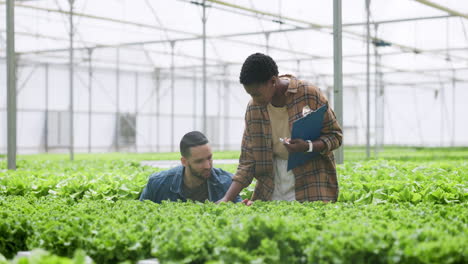 Man,-woman-and-inspection-on-hydroponic-farm