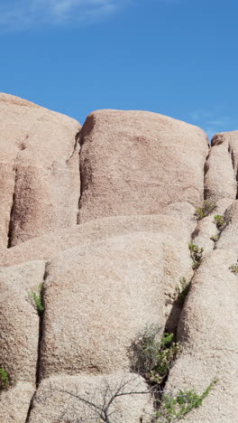 Joshua-Tree-National-Park,-California,-United-States-of-America-in-vertical