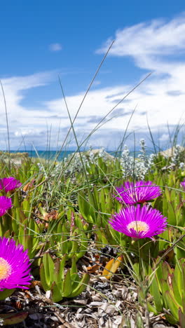 Wilder-Strand-In-Griechenland-In-Vertikaler