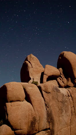 Joshua-Tree-National-Park,-California,-United-States-of-America-in-vertical