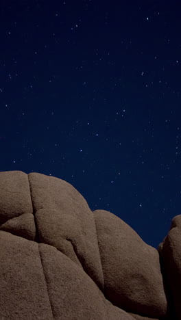 Joshua-Tree-National-Park,-California,-United-States-of-America-in-vertical