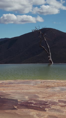 Hierve-Al-Aqua-En-El-Estado-De-Oaxaca,-México-En-Formato-Vertical