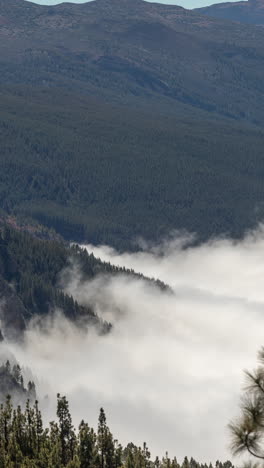 El-Teide-Volcano-In-Tenerife-In-Vertical