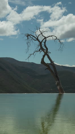 Hierve-Al-Aqua-En-El-Estado-De-Oaxaca,-México-En-Formato-Vertical