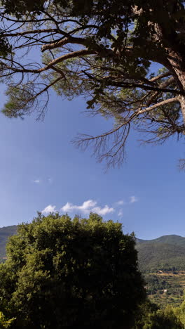 Montaña-Del-Montseny,-Calalonia,-España-En-Vertical