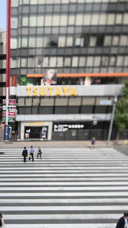 Tokio-Japan-Stadt-Skyline-Vertikal