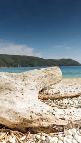 wild-beach-in-greece-in-vertical