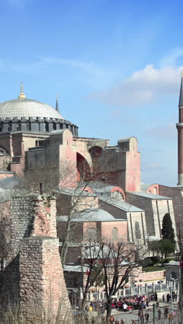 mosque-in-istanbul,-turkey-in-vertical