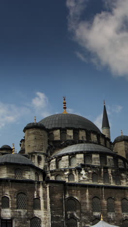 mosque-in-istanbul,-turkey-in-vertical