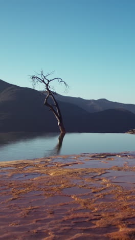 hierve-al-aqua-in-oaxaca-state,-mexico-in-vertical-format