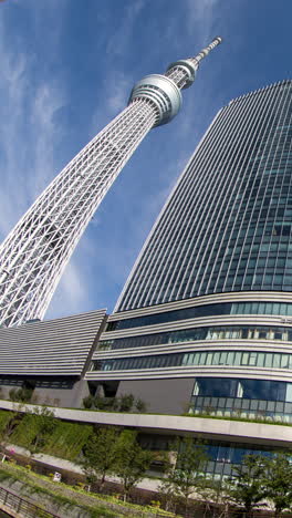 Tokio-Japan-Stadt-Himmel-Baum-Horizont-Vertikal