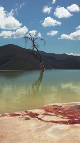 Hierve-Al-Aqua-Im-Bundesstaat-Oaxaca,-Mexiko-Im-Hochformat