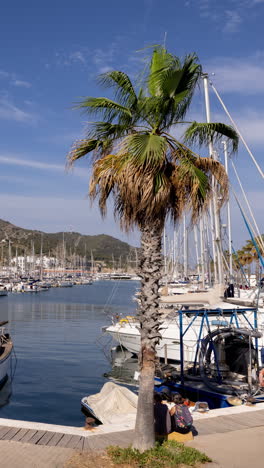 marina-in-sitges,-spain-in-vertical