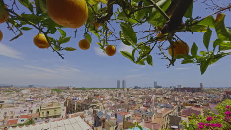 Skyline-Von-Barcelona,-Aufgenommen-Von-Einem-Hohen-Aussichtspunkt-Im-Stadtzentrum