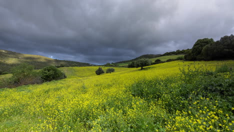 greece-countryside