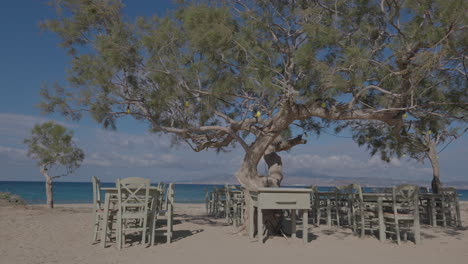 Playa-De-Maragkas-En-Naxos