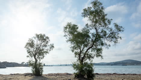 Meer-Und-Küste-In-Paros