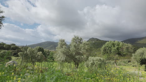 greece-countryside