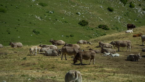 Berg-Pedraforca,-Katalonien,-Spanien