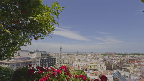 Vista-Del-Horizonte-De-Barcelona-Desde-Un-Punto-Panorámico-Alto-En-El-Centro-De-La-Ciudad