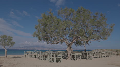 Playa-De-Maragkas-En-Naxos