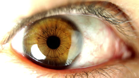 Closeup-of-eye