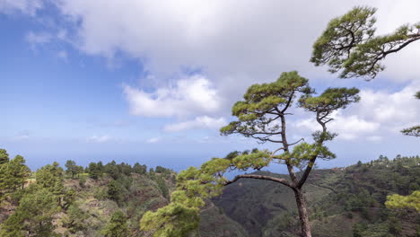 Blick-Auf-Die-Küste-Und-Den-Wald-Von-La-Palma