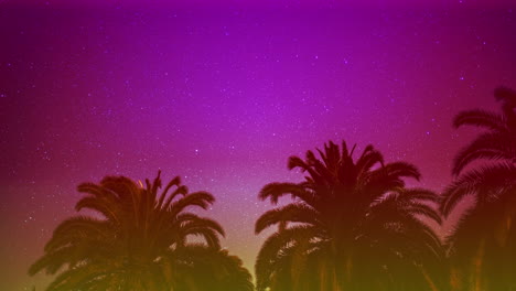 Canary-islands-star-timelapse-with-palm-trees