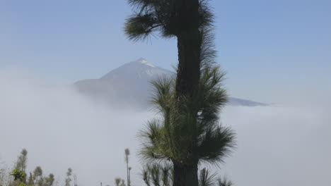 El-Teide-Auf-Teneriffa-In-Nebel-Gehüllt