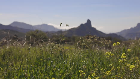 Roque-Nublo-In-Gran-Canaria