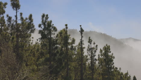 El-Teide-Auf-Teneriffa-In-Nebel-Gehüllt