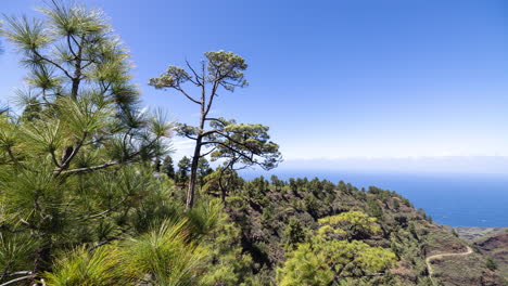 Blick-Auf-Die-Küste-Und-Den-Wald-Von-La-Palma