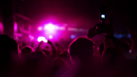 crowds-at-outdoor-music-festvial