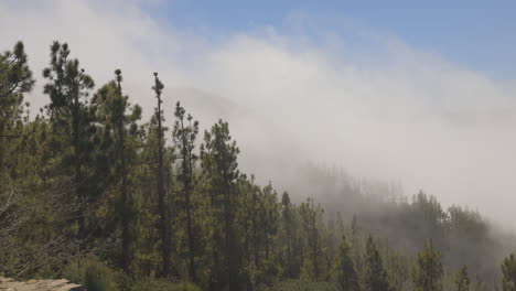 El-Teide-Auf-Teneriffa-In-Nebel-Gehüllt