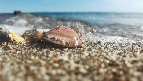 Slow-motion-footage-of-sea-splashing-on-shells-and-pebbles