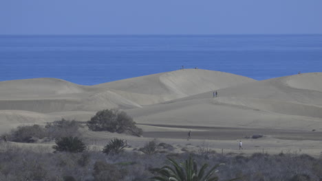 Sanddünen-Von-Maspalomas-Auf-Gran-Canaria