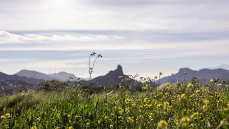 Roque-Nublo-Auf-Gran-Canaria-Zeitraffer