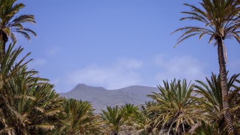 Gran-Canaria-Berg-Pfanne