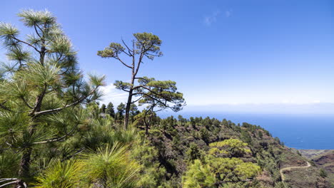 Blick-Auf-Die-Küste-Und-Den-Wald-Von-La-Palma