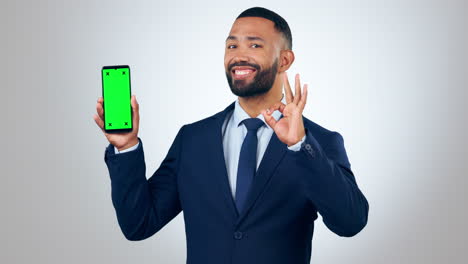 Professional-man,-phone-and-green-screen