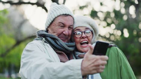 Selfie,-travel-and-senior-couple-in-park