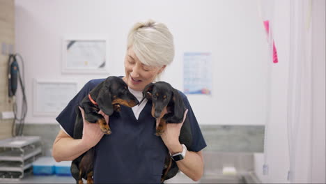 Doctor,-pet-and-puppies-with-an-old-woman-vet
