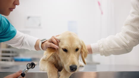 Dog-checkup,-ears-and-a-vet-with-an-otoscope