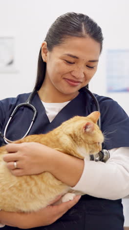 Gesicht,-Tierarzt-Und-Glückliche-Frau-Mit-Haustierkatze-Zur-Pflege