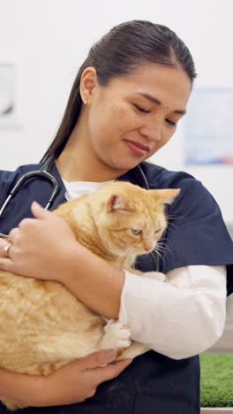 Lächeln,-Tierarzt-Und-Frau-Streicheln-Katze-Zur-Pflege