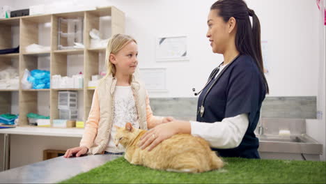 Cat-Veterinary,-child-or-happy-woman-high-five
