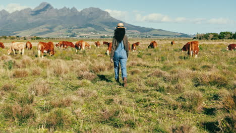 Farm,-cattle-and-woman-walk-with-cows