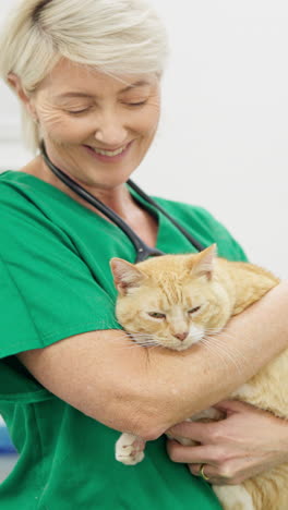 Tierarzt,-Arzt-Oder-Haltende-Katze-Für-Das-Gesundheitswesen